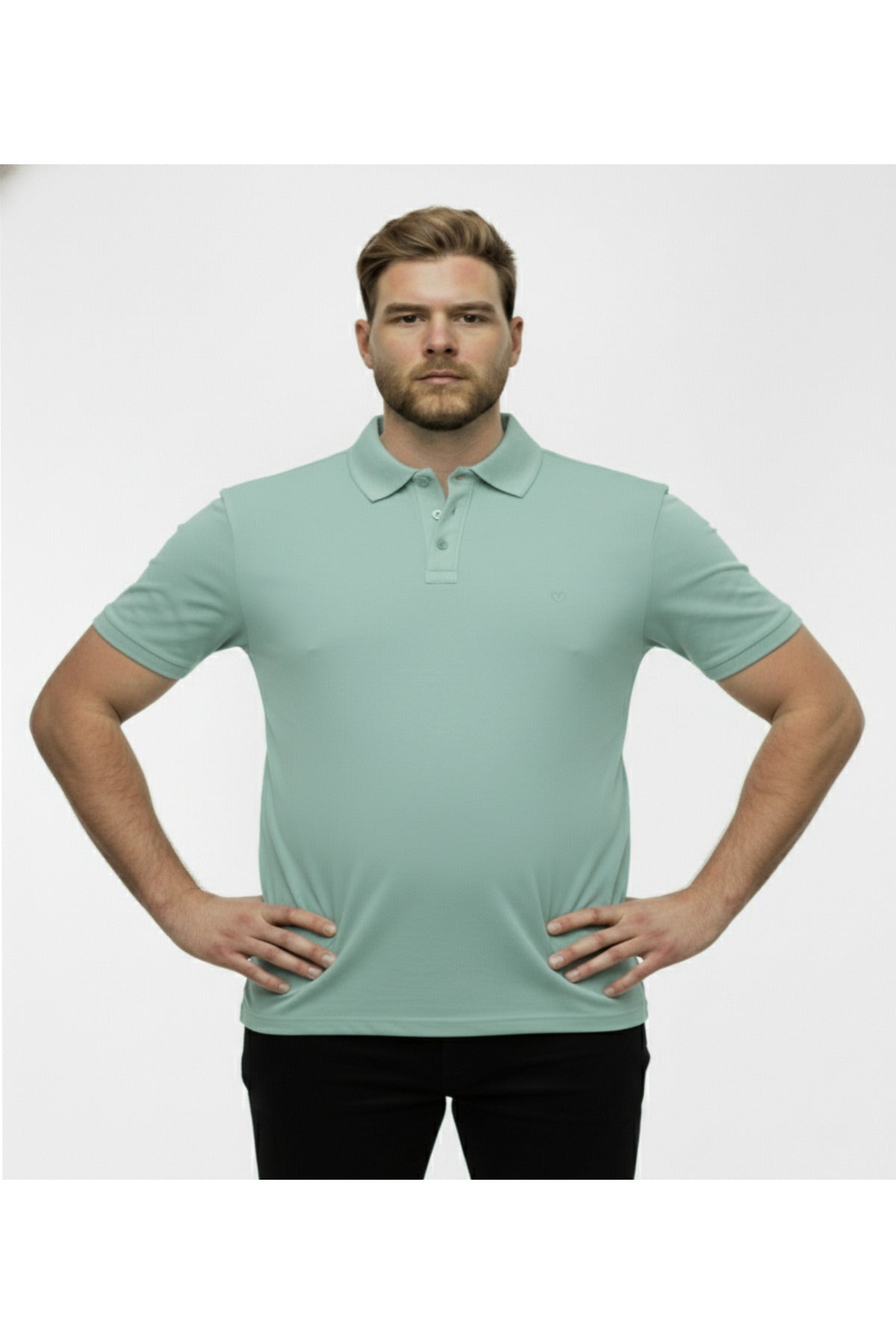 Büyük Beden Likralı Polo Yaka Lakost T-shirt