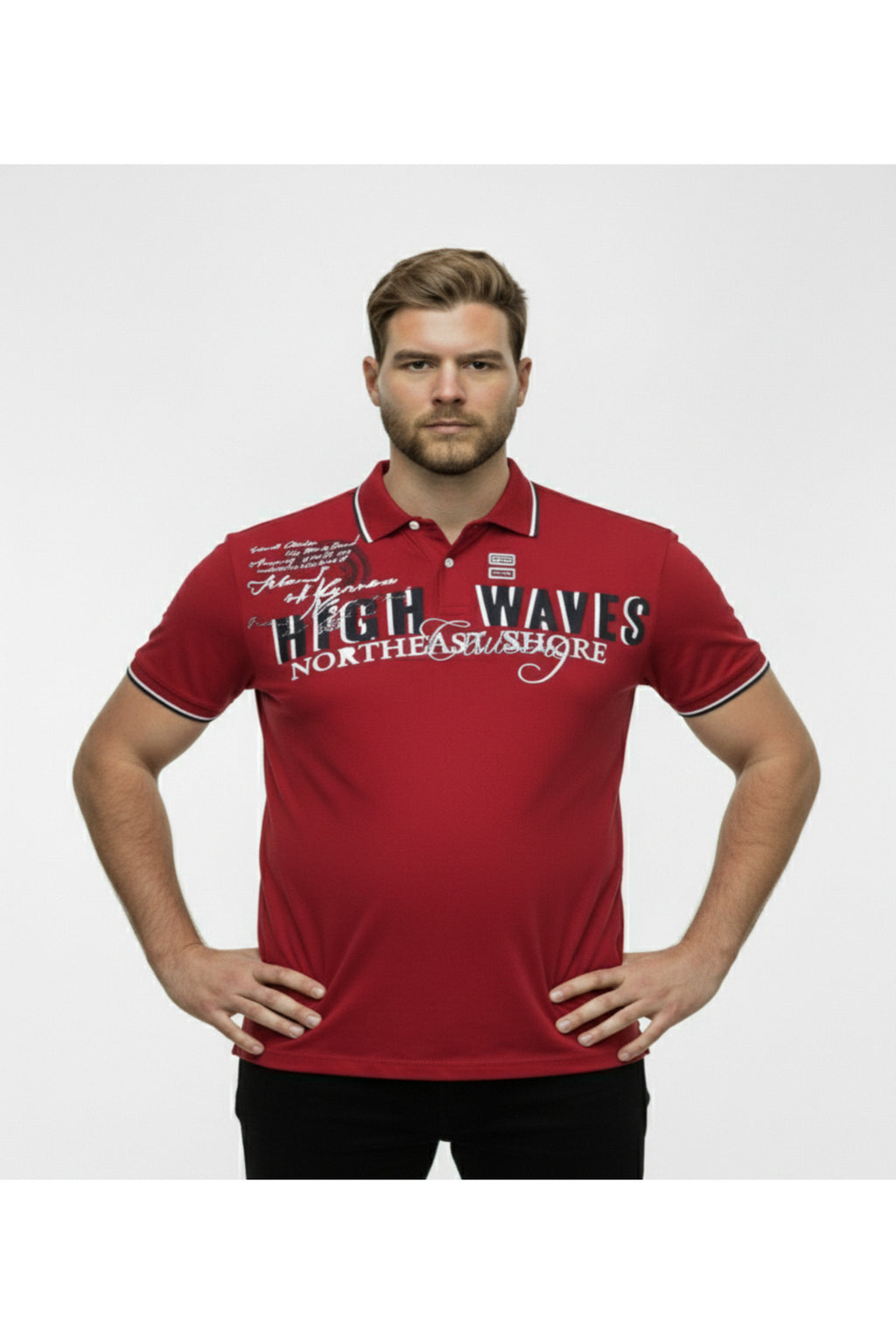 Diorise Büyük Beden Polo Yaka Lakost T-shirt