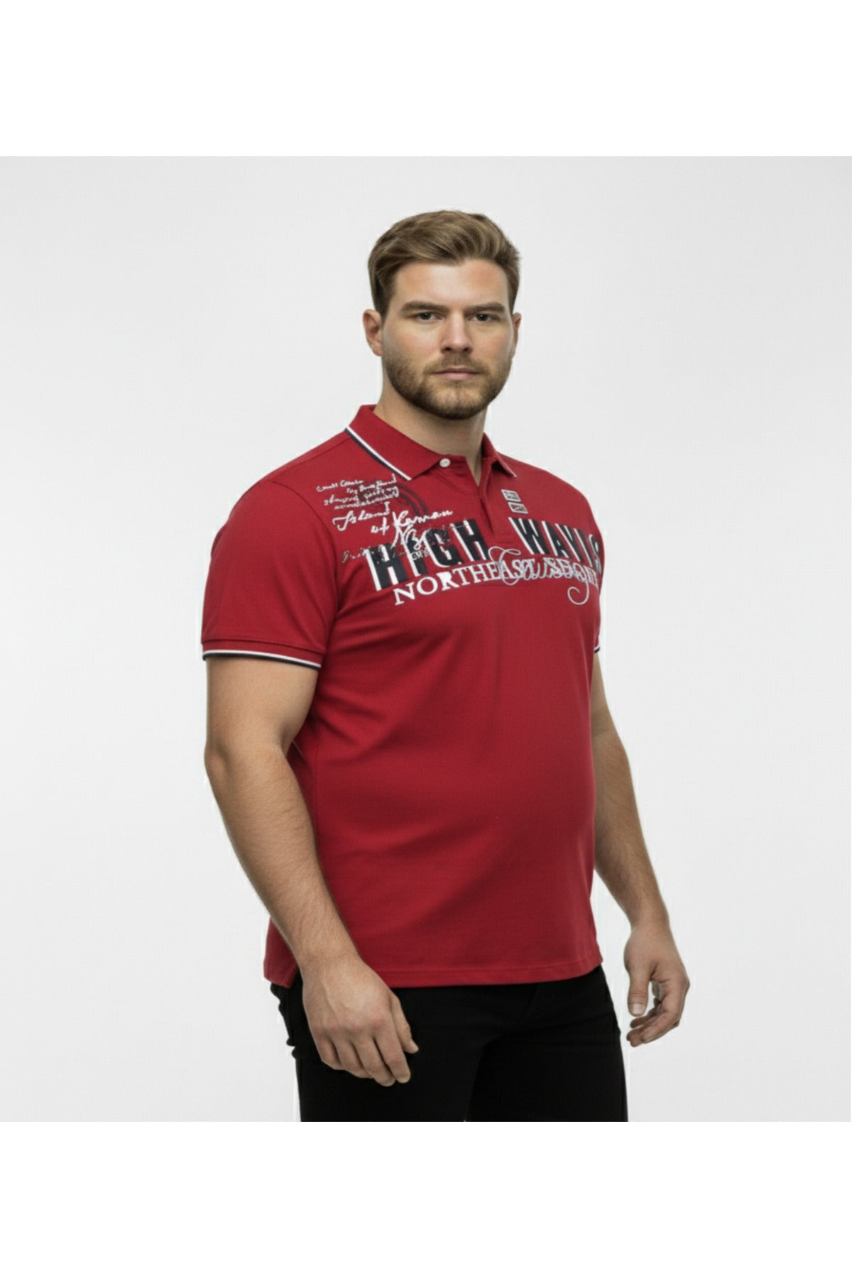 Diorise Büyük Beden Polo Yaka Lakost T-shirt