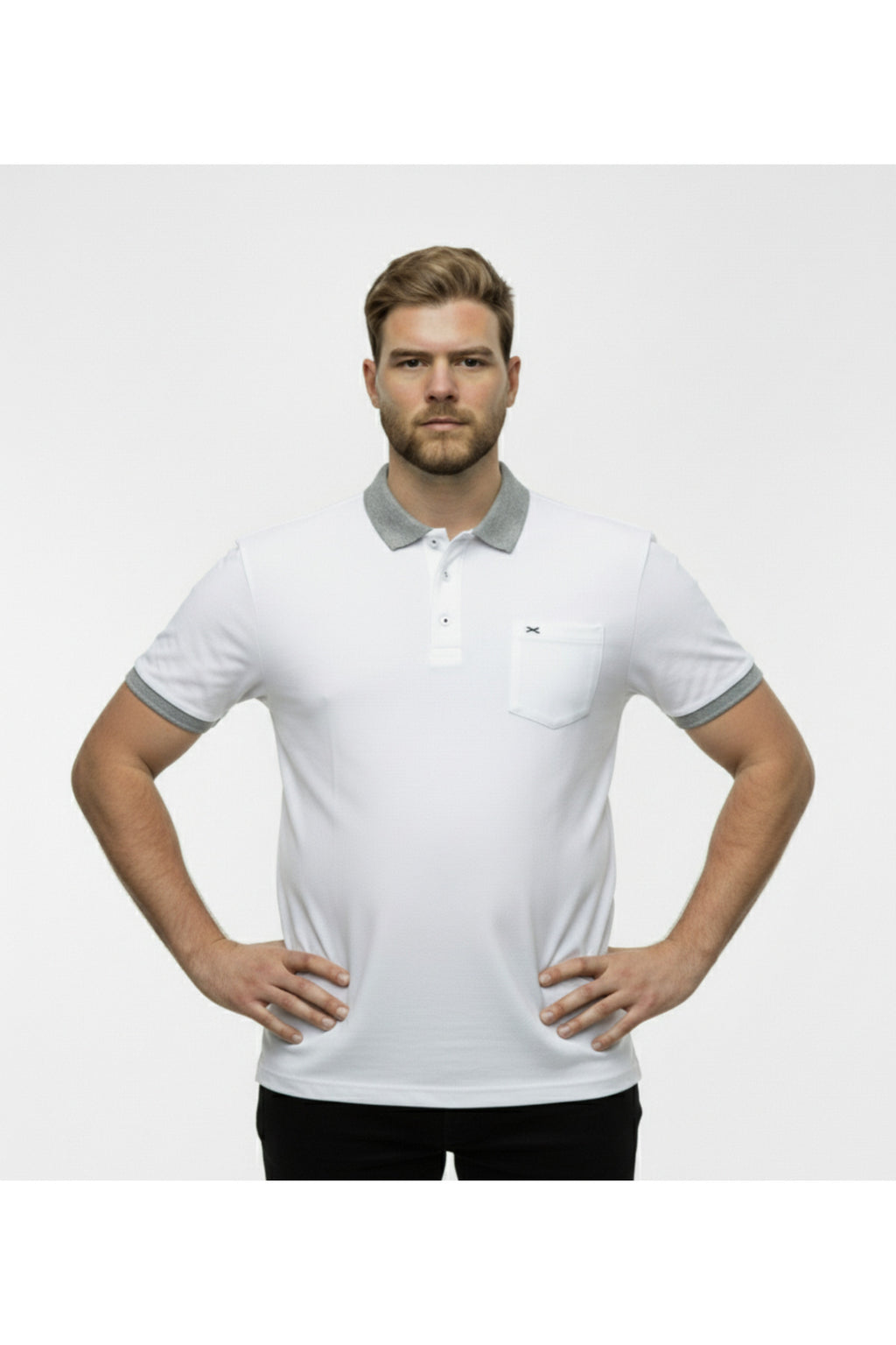 Büyük Beden Erkek Polo Yaka T-Shirt