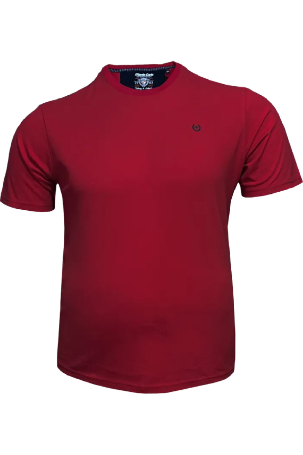 Büyük Beden Pike Likralı T-shirt