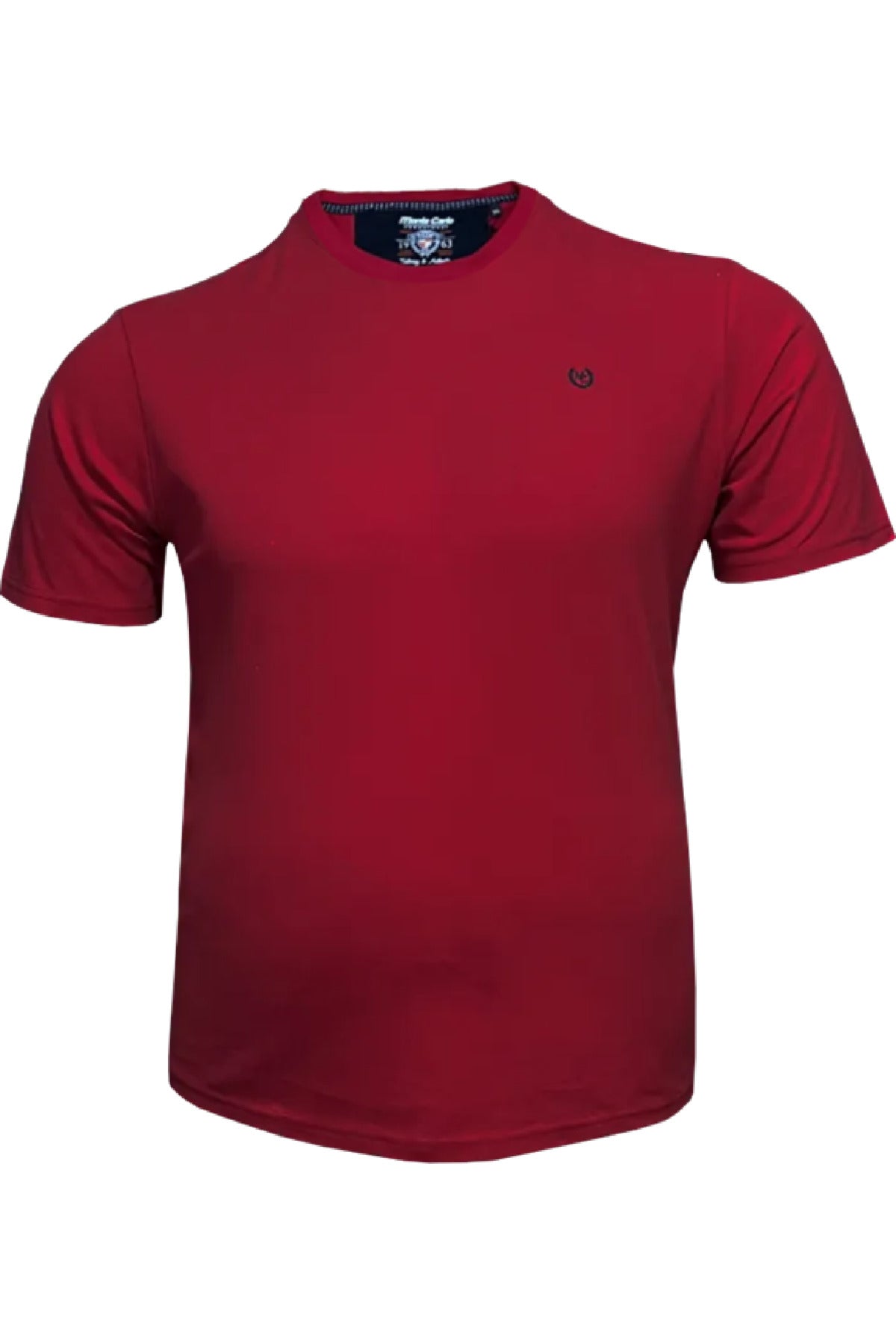 Büyük Beden Pike Likralı T-shirt