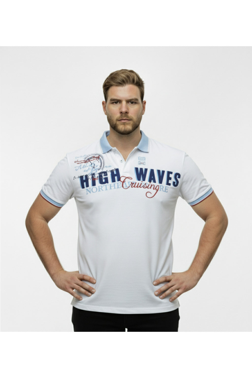Diorise Büyük Beden Polo Yaka Lakost T-shirt
