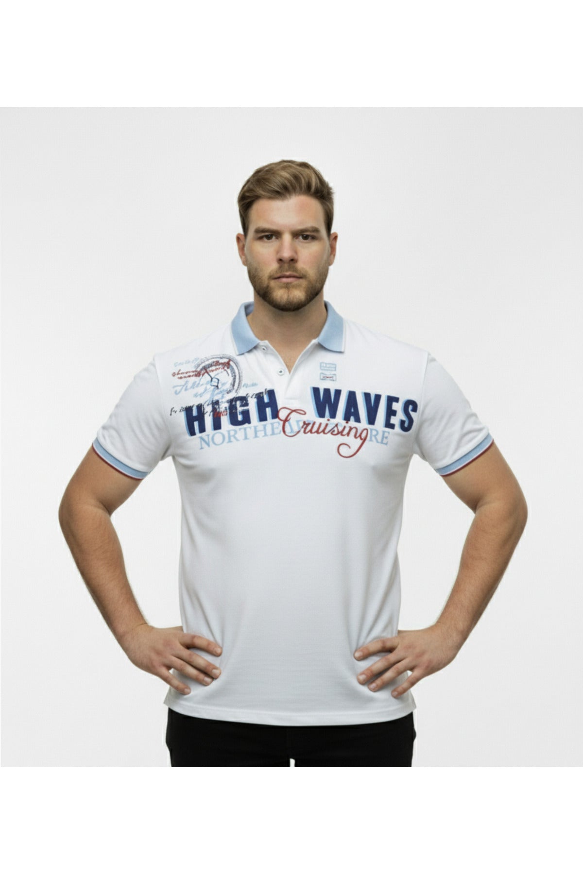 Diorise Büyük Beden Polo Yaka Lakost T-shirt