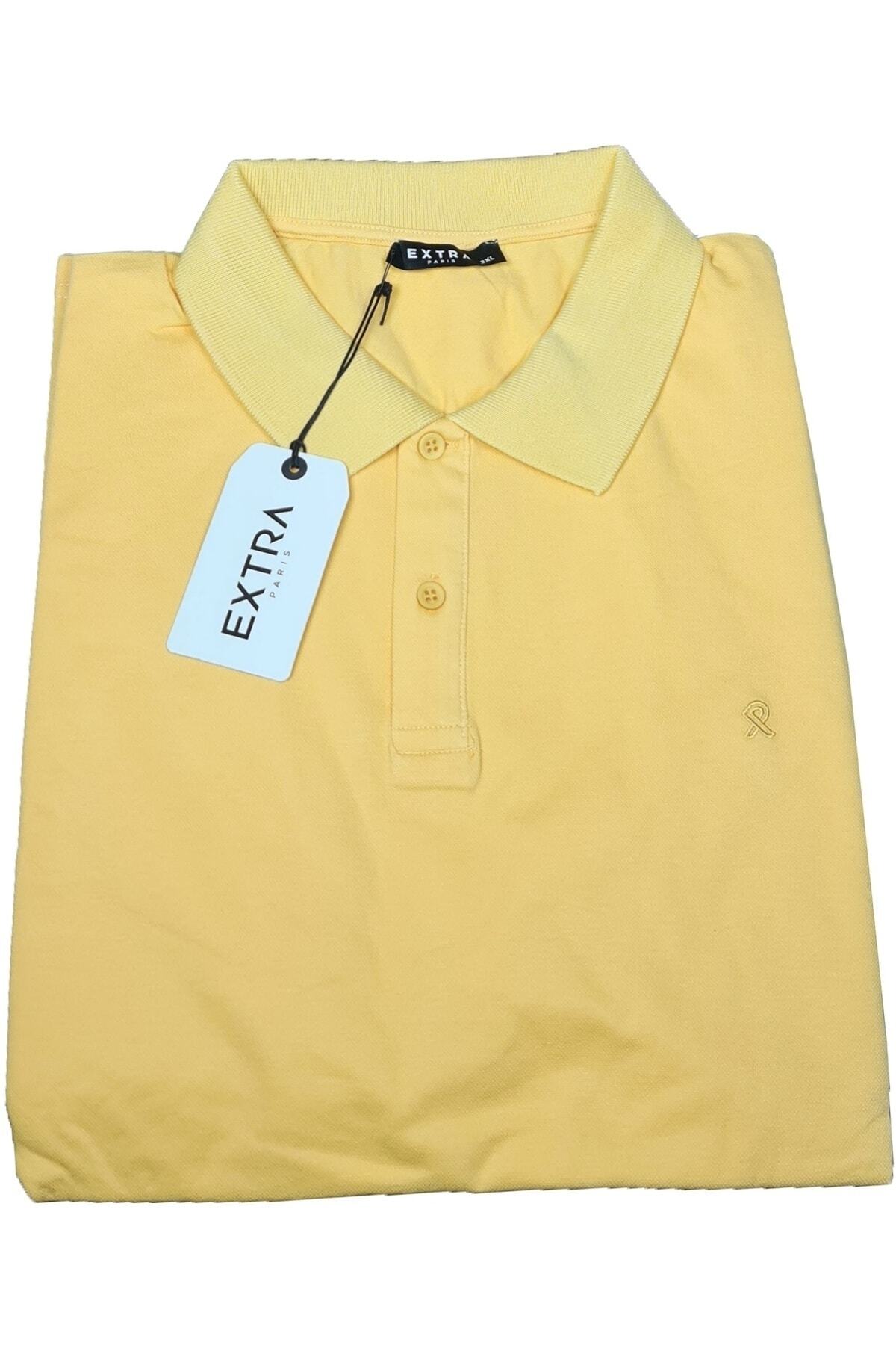 Büyük Beden İnce Polo Yaka Lakost T-Shirt