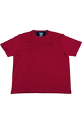 Büyük Beden Pike Likralı T-shirt