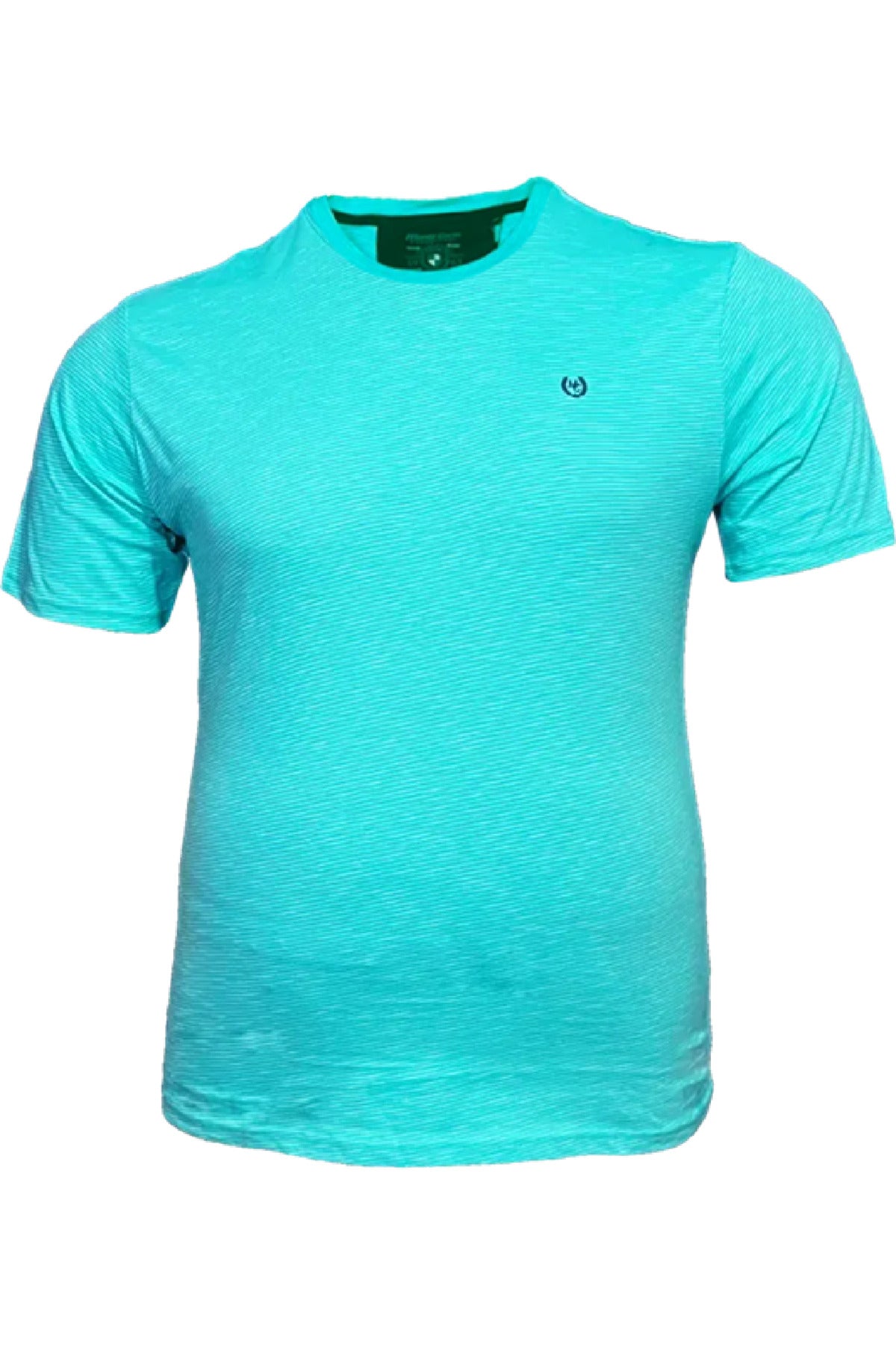 Büyük Beden Çizgili Penye T-shirt