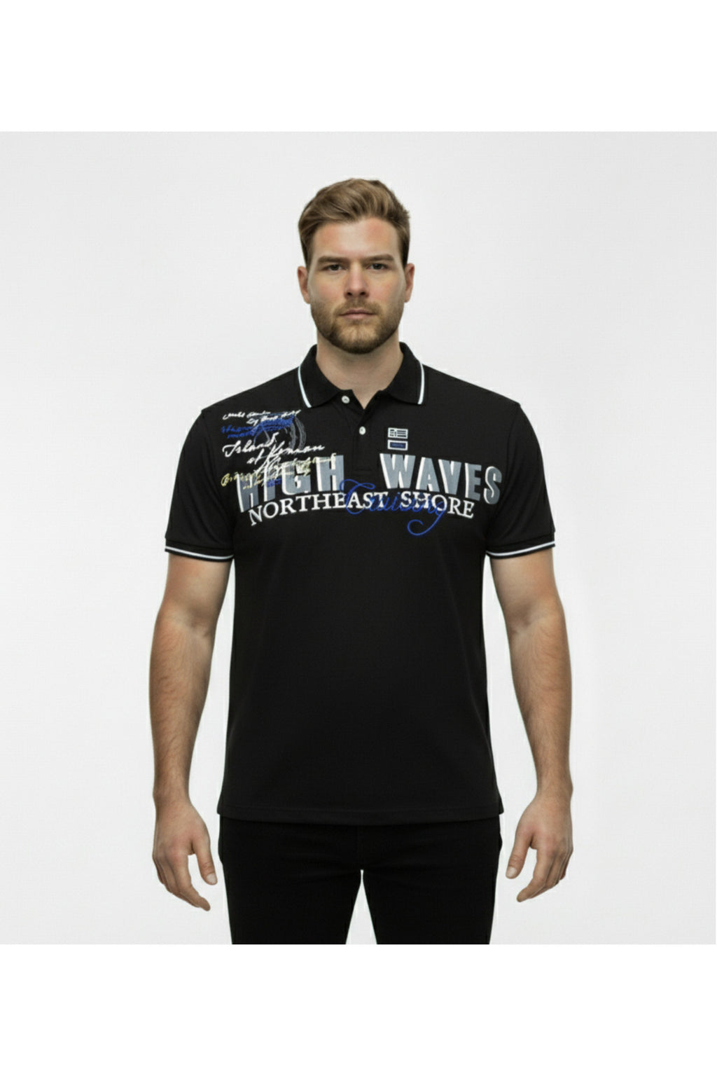Diorise Büyük Beden Polo Yaka Lakost T-shirt