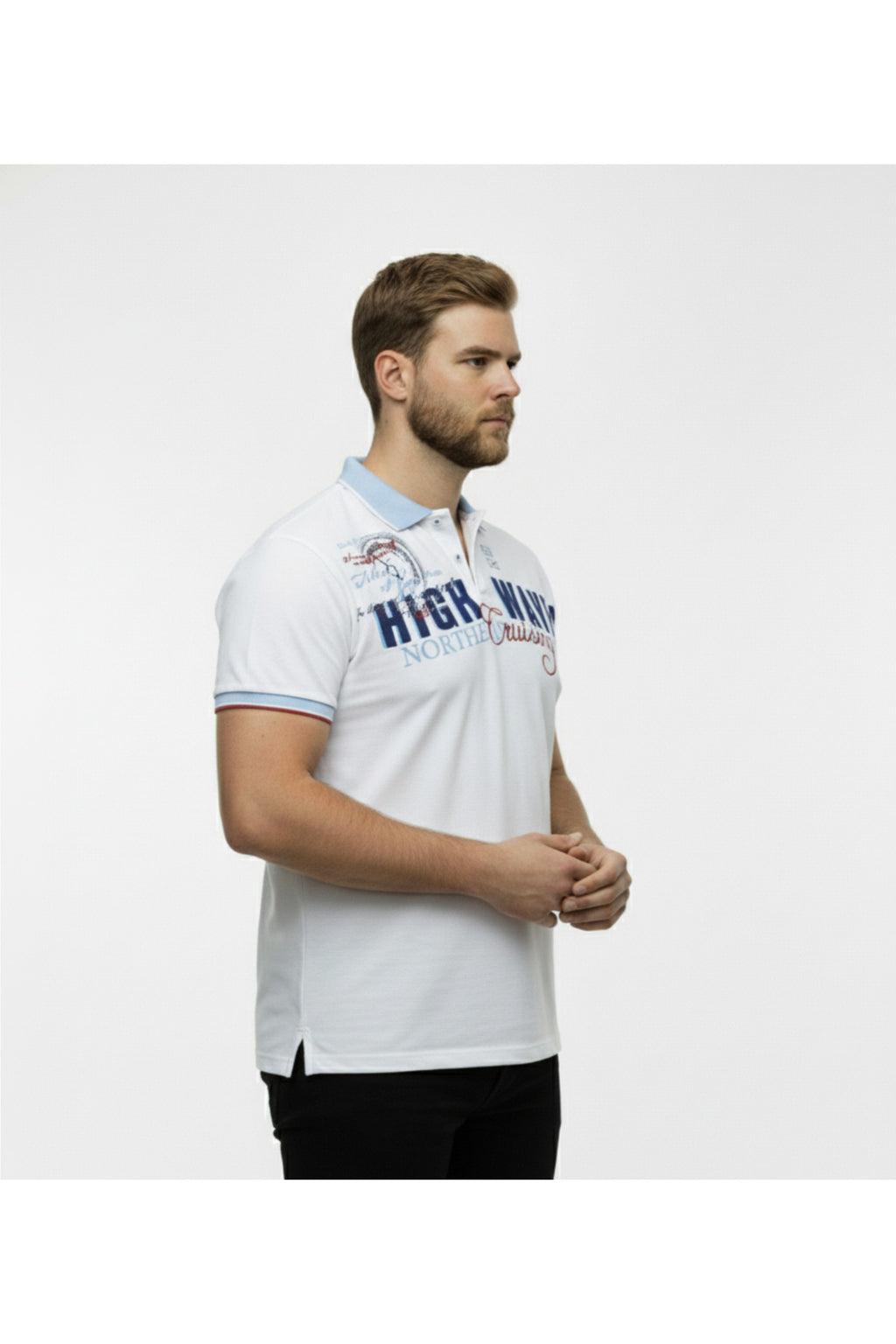 Diorise Büyük Beden Polo Yaka Lakost T-shirt