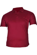 Büyük Beden Polo Yaka Lakost T-shirt